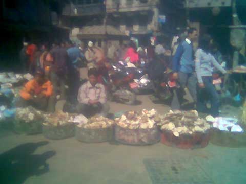 Selling cultivated mushrooms